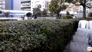 欧美菊爆视频大全免费_欧美亚洲精品成人视频